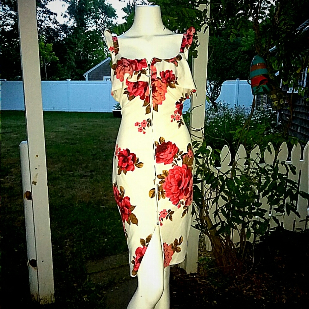 NWT ZIPPER Dress